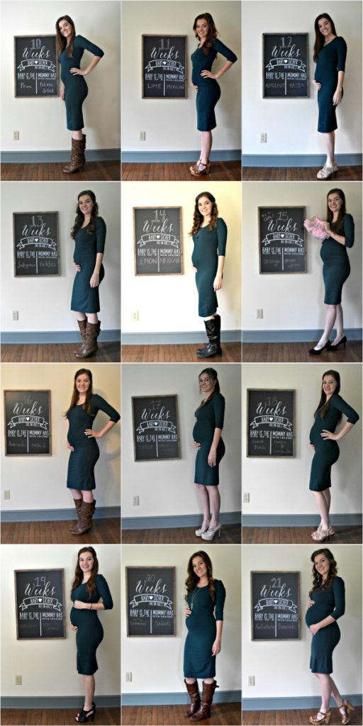 baby bump tracker